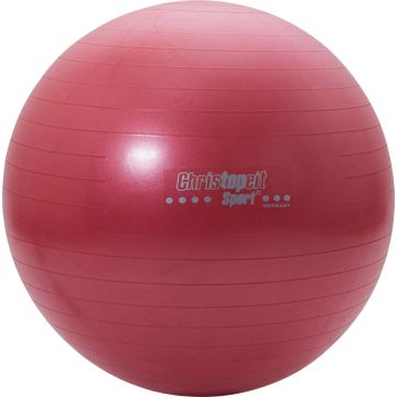 Christopeit Gym bal 65cm incl. pomp rood online kopen | Buffalo.nl